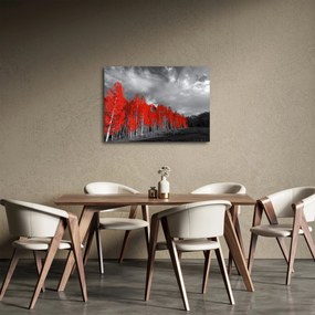 Obraz - Stromy vo farbe jesene (70x50 cm)
