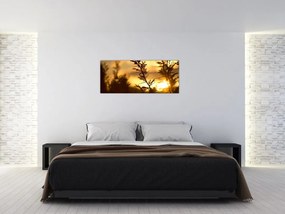 Obraz - Slnko zapadajúce za stromami (120x50 cm)