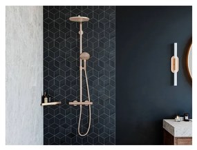 Hansgrohe AddStoris - Košík do rohu, kartáčovaný bronz 41741140