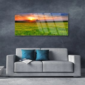 Obraz plexi Lúka slnko príroda 125x50 cm