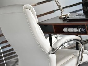 Kreslo Luxus (biela + chrómová). Vlastná spoľahlivá doprava až k Vám domov. 1109949