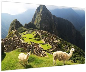 Obraz - Machu Picchu (90x60 cm)