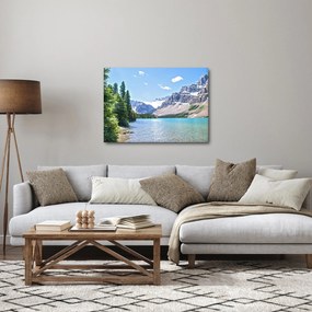 Obraz Alpského jazera (70x50 cm)