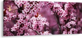 Obraz - Ružová sakura (120x50 cm)