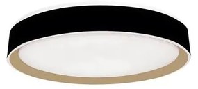 LED Stmievateľné stropné svietidlo s hlasovým ovládaním OPAL LED/48W/230V + DO