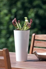 Plastový kvetináč DTUS300 30 cm - mocca
