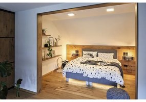 Paulmann 79801 - LED/13W Stropné svietidlo CARPO 230V 2300/2500/3000K