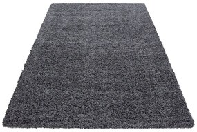 Tmavosivý koberec 200x290 cm Life – Ayyildiz Carpets