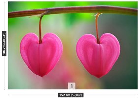 Fototapeta Vliesová Kvetinové srdce 250x104 cm