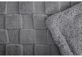 Sivá deka z mikroplyšu 150x200 cm Rava – Tiseco Home Studio