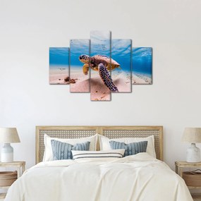 Obraz korytnačky v oceáne (150x105 cm)