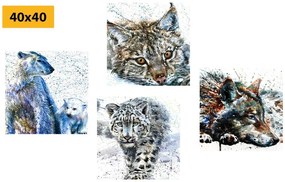 Set obrazov zvieratá v zaujímavom akvarelovom prevedení - 4x 60x60