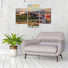 Obraz - Panorama Bratislavy, Slovensko (90x60 cm)