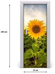 Fototapeta samolepiace dvere pole slnečníkov 75x205 cm
