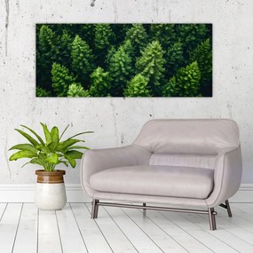 Obraz - Les (120x50 cm)