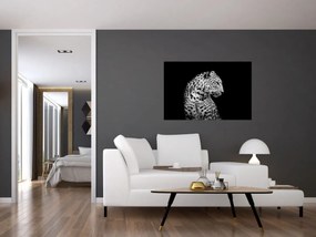 Obraz - Leopard (90x60 cm)