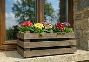 AMADEA Drevený obal na dva kvetináče - tmavý, 32x17x15cm, drevený kvetináč Český výrobok