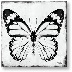 Obraz na plátne MOTÝĽ 1 dielny XOBCH20463FDE1