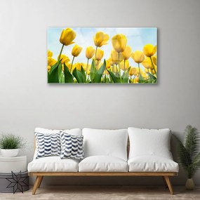 Skleneny obraz Tulipány kvety rastlina 120x60 cm