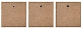 Obrazy v súprave 3 ks 30x30 cm Pampas – Styler