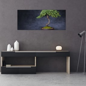 Obraz - Bonsai (120x50 cm)