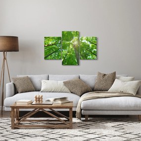Obraz - Les (90x60 cm)