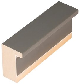 DANTIK - Zrkadlo v rámu, rozmer s rámom 50x90 cm z lišty KASSETTE šedá (3078)