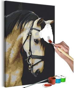Obraz - maľovaný podľa čísel Horse Portrait