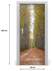 Fototapeta na dvere samolepiace Břízová les 85x205 cm