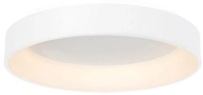 Milagro LED Stropné svietidlo OHIO 1xLED/24W/230V MI0197