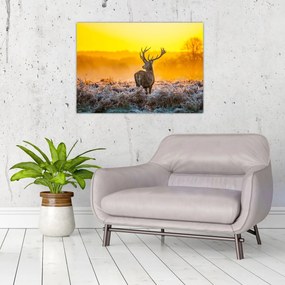 Obraz - Jeleň pri východe slnka (70x50 cm)