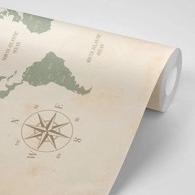 Tapeta jednoduchá mapa sveta