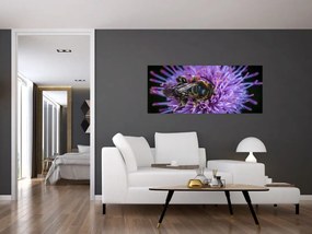 Obraz včely na kvetine (120x50 cm)