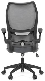 Kancelárska stolička ERGO Mesh Pro/sivá