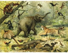 Fototapeta vliesová Zviera z džungle 340x254 cm