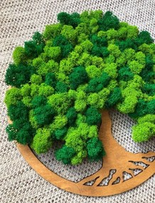 Strom na stenu z machu Caliroe 30 cm