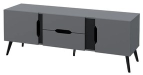 Moderná TV skrinka Motez 2D2S, Farby: sivá / sivá + čierna