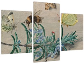Obraz - Jan van Kessel the Elder, Insects and a Sprig of Rosemary, reprodukcia (90x60 cm)