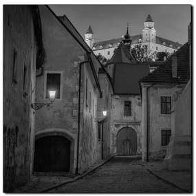 Obraz na plátne - Bratislava staré mesto s hradom vzadu - štvorec 3265QA (80x80 cm)
