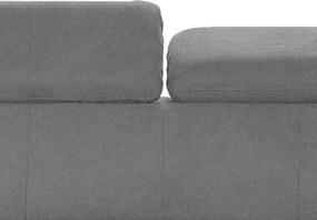 Dvojsedák Gisele, stredne šedá