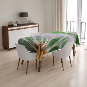Sablio Obrus Odkvitnuté púpavy 3 - 130x130 cm