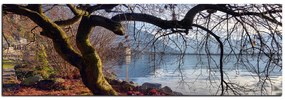 Obraz na plátne - Jeseň pri jazere - panoráma 5198A (105x35 cm)