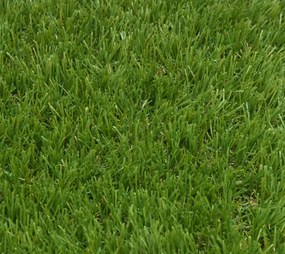 Umelá tráva MONTINIERI