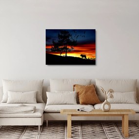 Sklenený obraz - Silueta vlka (70x50 cm)