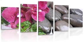 5-dielny obraz kvitnúca orchidea a wellness kamene