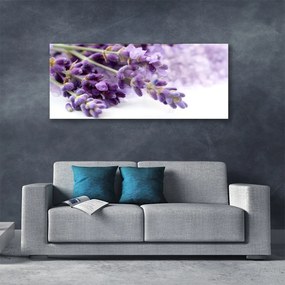 Obraz plexi Kvety príroda rastlina 125x50 cm