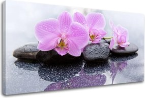 Obraz na plátne FENG SHUI_062-11