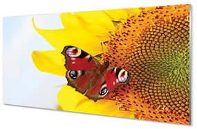 Obraz na akrylátovom skle Slnečnica motýľ 140x70 cm