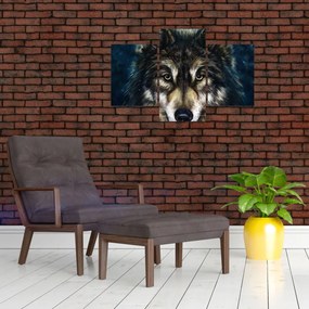 Obraz - Vlk (90x60 cm)
