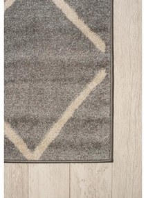 Kusový koberec Astan sivý 160x229cm